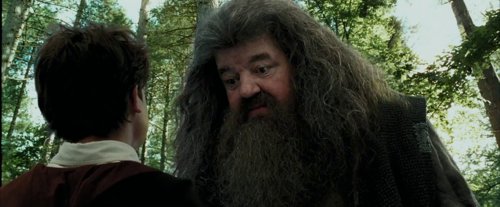 harry_potter_and_the_prisoner_of_azkaban_frame_1738974538.3718965.jpg