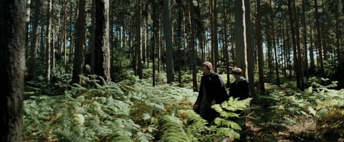 harry_potter_and_the_prisoner_of_azkaban_frame_1738974542.669353.jpg