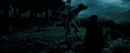 harry_potter_and_the_prisoner_of_azkaban_frame_1738974551.6014512.jpg