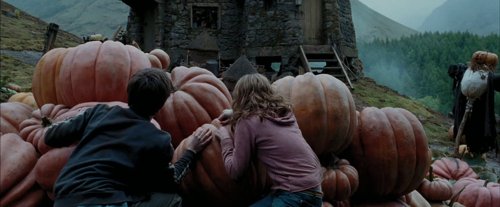 harry_potter_and_the_prisoner_of_azkaban_frame_1738974553.3824065.jpg