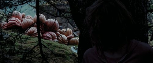 harry_potter_and_the_prisoner_of_azkaban_frame_1738974553.8041387.jpg