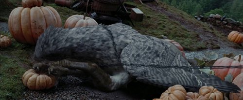 harry_potter_and_the_prisoner_of_azkaban_frame_1738974554.0551267.jpg