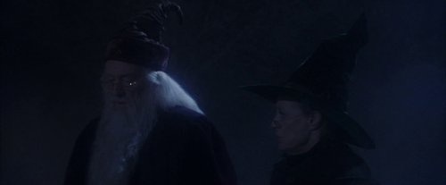 harry_potter_and_the_sorcerer's_stone_frame_1738718634.0848927.jpg