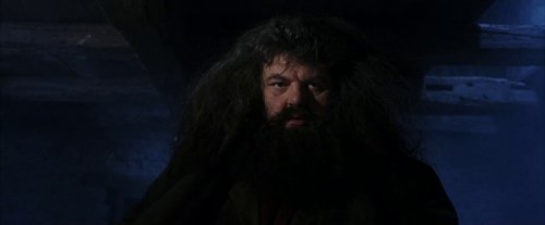 harry_potter_and_the_sorcerer's_stone_frame_1738718638.061493.jpg
