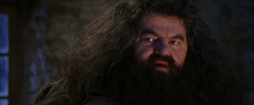 harry_potter_and_the_sorcerer's_stone_frame_1738718638.4757729.jpg