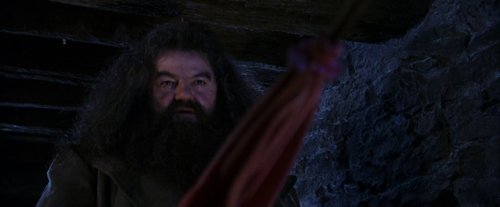 harry_potter_and_the_sorcerer's_stone_frame_1738718639.2660155.jpg