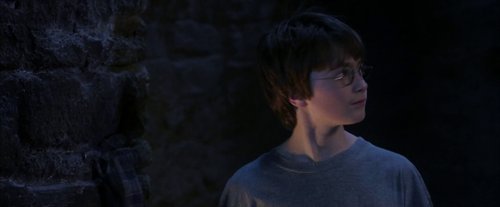 harry_potter_and_the_sorcerer's_stone_frame_1738718639.534295.jpg