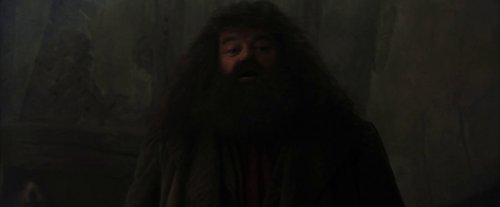 harry_potter_and_the_sorcerer's_stone_frame_1738718639.713669.jpg