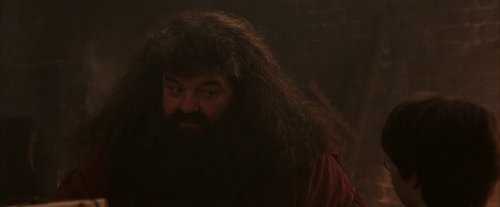 harry_potter_and_the_sorcerer's_stone_frame_1738718642.6102285.jpg