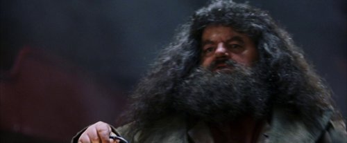 harry_potter_and_the_sorcerer's_stone_frame_1738718645.4108772.jpg