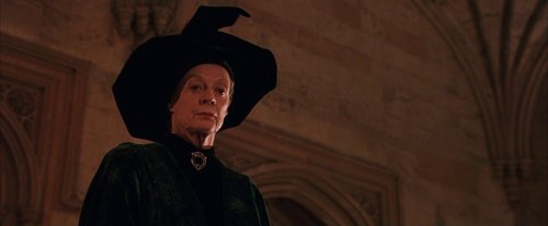 harry_potter_and_the_sorcerer's_stone_frame_1738718645.8647983.jpg
