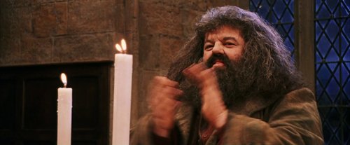harry_potter_and_the_sorcerer's_stone_frame_1738718647.5683568.jpg