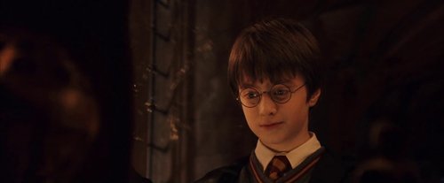 harry_potter_and_the_sorcerer's_stone_frame_1738718651.8614004.jpg