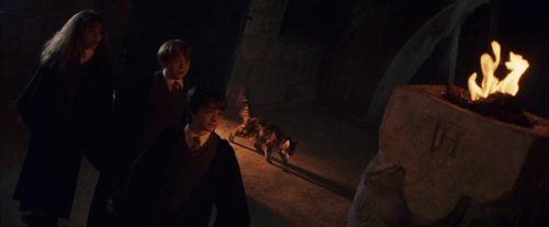harry_potter_and_the_sorcerer's_stone_frame_1738718652.070105.jpg
