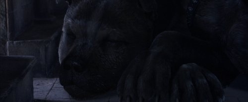 harry_potter_and_the_sorcerer's_stone_frame_1738718652.2915657.jpg
