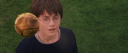 harry_potter_and_the_sorcerer's_stone_frame_1738718653.6668868.jpg