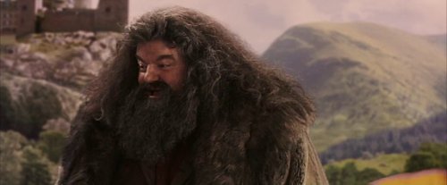 harry_potter_and_the_sorcerer's_stone_frame_1738718659.1415615.jpg