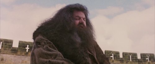 harry_potter_and_the_sorcerer's_stone_frame_1738718659.3486555.jpg