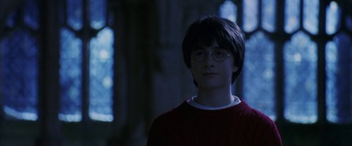 harry_potter_and_the_sorcerer's_stone_frame_1738718661.555076.jpg