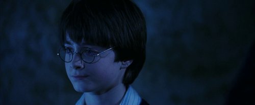 harry_potter_and_the_sorcerer's_stone_frame_1738718662.7715576.jpg