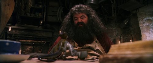harry_potter_and_the_sorcerer's_stone_frame_1738718663.9964283.jpg