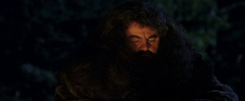 harry_potter_and_the_sorcerer's_stone_frame_1738718664.6905205.jpg