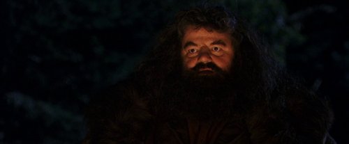harry_potter_and_the_sorcerer's_stone_frame_1738718664.926262.jpg