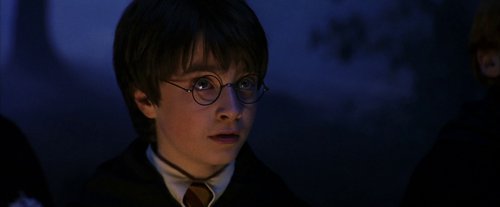 harry_potter_and_the_sorcerer's_stone_frame_1738718665.1568115.jpg