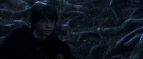 harry_potter_and_the_sorcerer's_stone_frame_1738718665.8696883.jpg