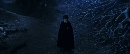 harry_potter_and_the_sorcerer's_stone_frame_1738718666.16963.jpg