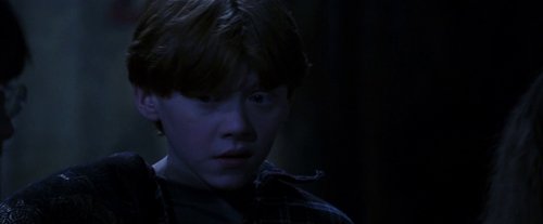 harry_potter_and_the_sorcerer's_stone_frame_1738718667.9464402.jpg