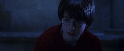 harry_potter_and_the_sorcerer's_stone_frame_1738718668.4275.jpg