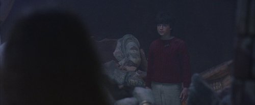 harry_potter_and_the_sorcerer's_stone_frame_1738718670.9394677.jpg