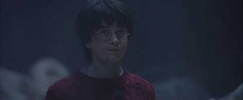 harry_potter_and_the_sorcerer's_stone_frame_1738718671.393694.jpg