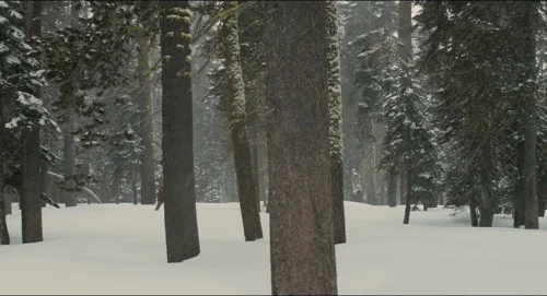 her_frames_frame_358.webp
