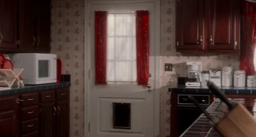 home_alone_frame_1738862870.3302445.webp