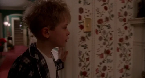 home_alone_frame_1738862870.5854888.webp