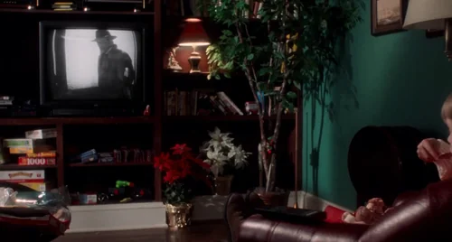 home_alone_frame_1738862871.6672044.webp