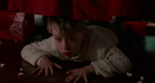 home_alone_frame_1738862873.3727508.webp
