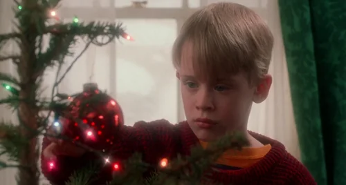 home_alone_frame_1738862882.6289043.webp