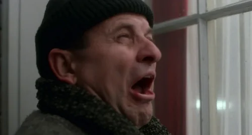 home_alone_frame_1738862886.1019523.webp