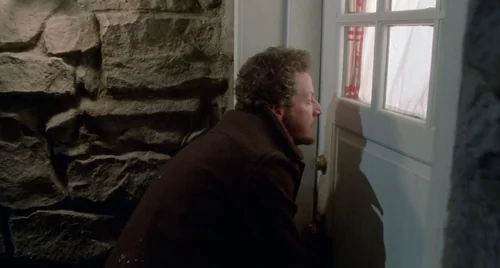 home_alone_frame_1738862886.614607.webp