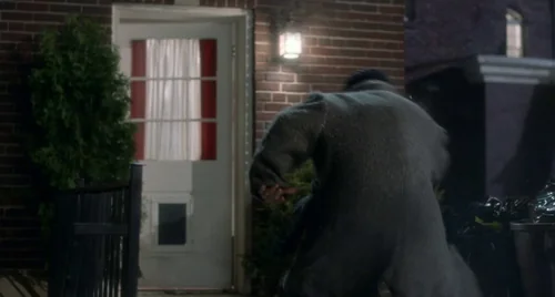 home_alone_frame_1738862887.434244.webp