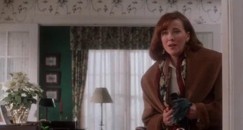 home_alone_frame_1738862890.2830946.webp