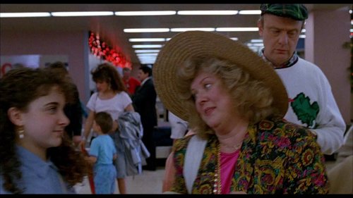 home_alone_2:_lost_in_new_york_frame_1738862926.9844708.jpg