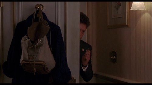 home_alone_2:_lost_in_new_york_frame_1738862932.529299.jpg