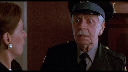home_alone_2:_lost_in_new_york_frame_1738862937.6629827.jpg