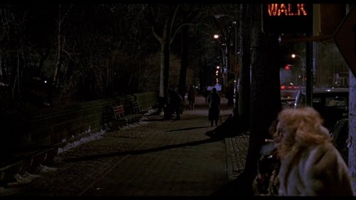 home_alone_2:_lost_in_new_york_frame_1738862939.6097438.jpg
