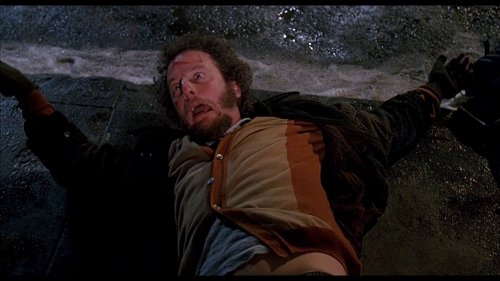 home_alone_2:_lost_in_new_york_frame_1738862945.8027816.jpg