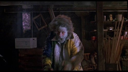 home_alone_2:_lost_in_new_york_frame_1738862947.558702.jpg